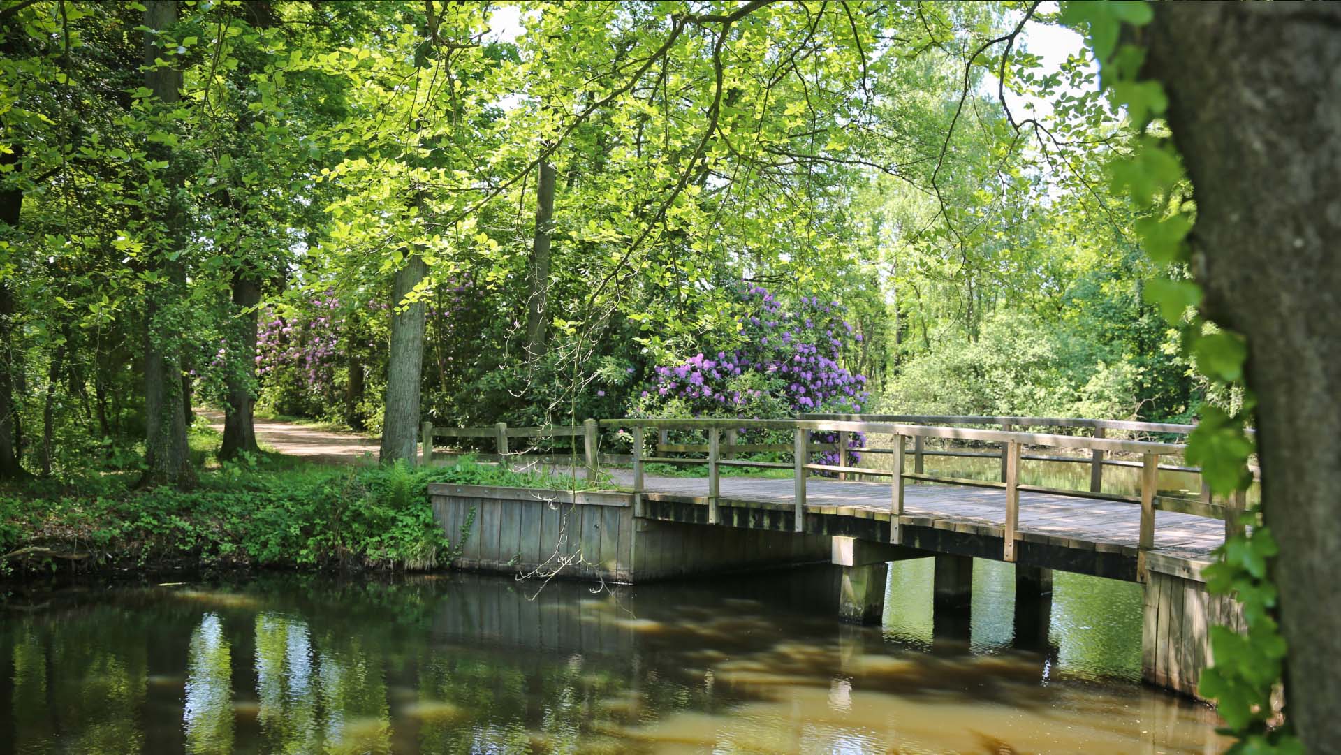 Landgoed Singraven, bosbeheer, bosbouw, natuurwandeling