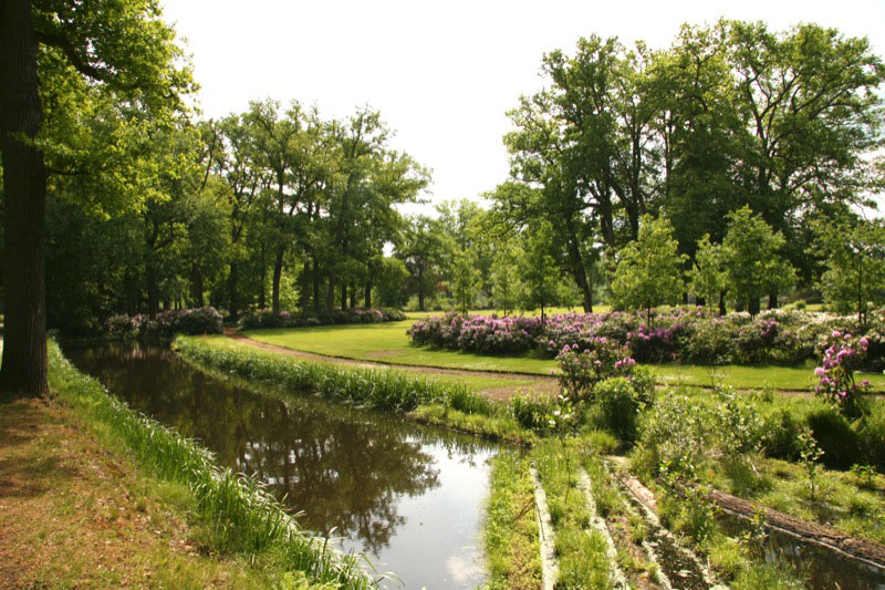 Landgoed Singraven, bosbouw Singraven, Bosbeheer Singraven, bomen singraven, arboretum singraven