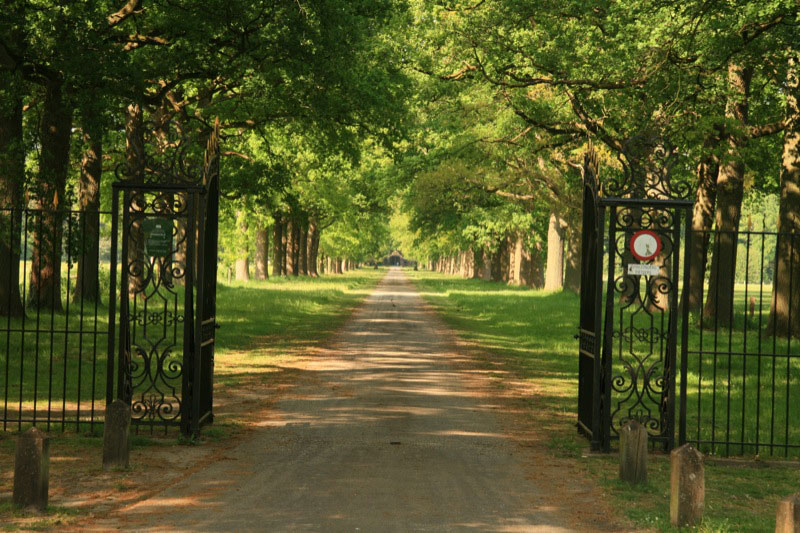 Landgoed Singraven, Bos, natuur, wandeling, historie Singraven