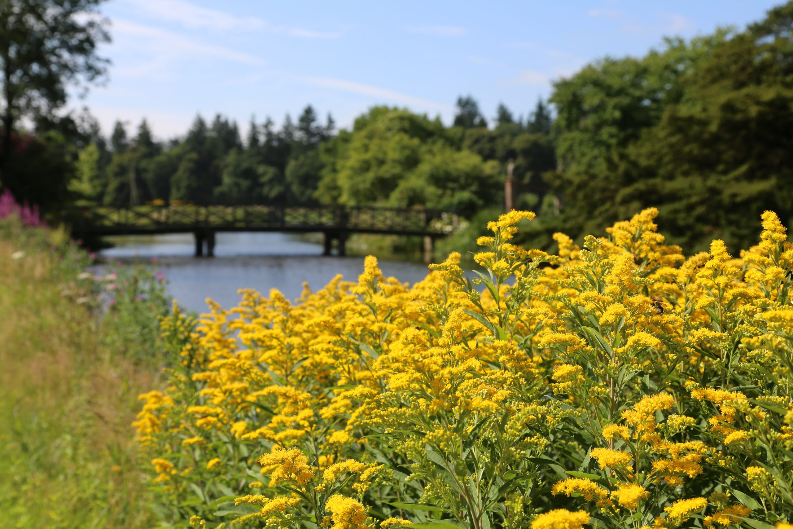 Landgoed Singraven, huis Singraven, vrijwilligers Singraven